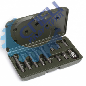 Вставки набор Spline 3/8" 11 пр (ДТ)(626791)